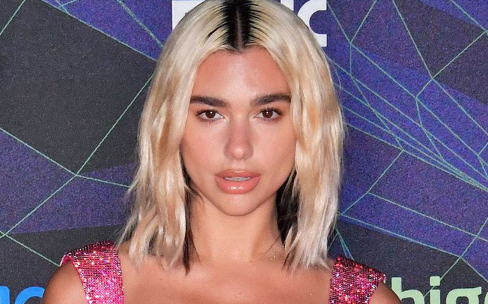 Dua Lipa Completely Damaged Her Locks: After Aggressive Bleach, The Singer's Hair Broke Off