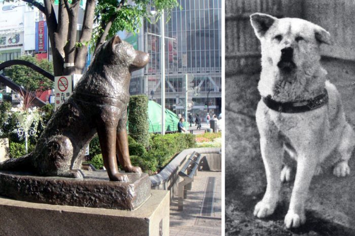 Everlasting Love And Loyalty: Heartbreaking Photos Of Hachiko, The Dog That Waited For His Owner For Years