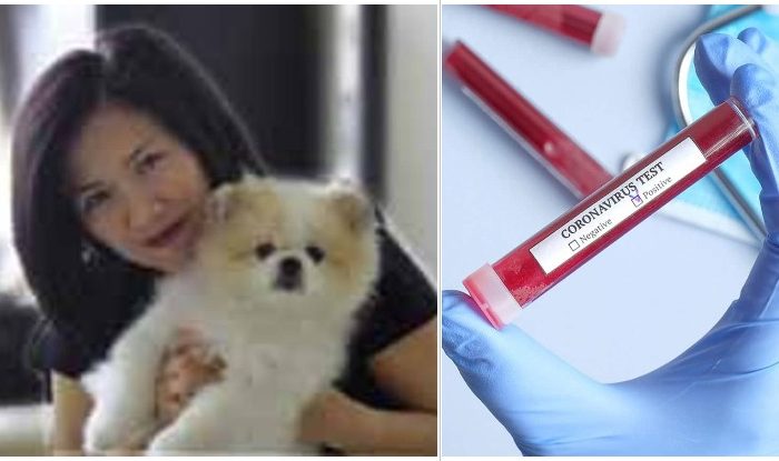 Dog tested positive for coronavirus, after contracting the disease from its owner