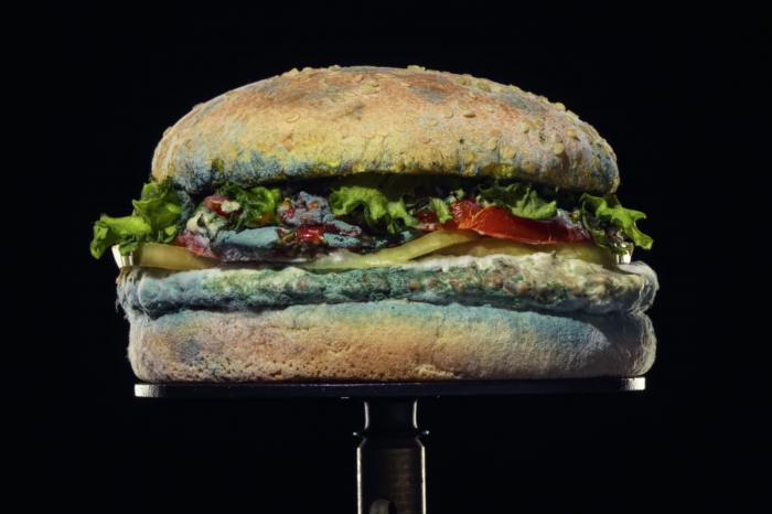 Disgusting But Genius?! Burger King Is Now Proudly Advertising A Moldy Whopper And Here Is Why!