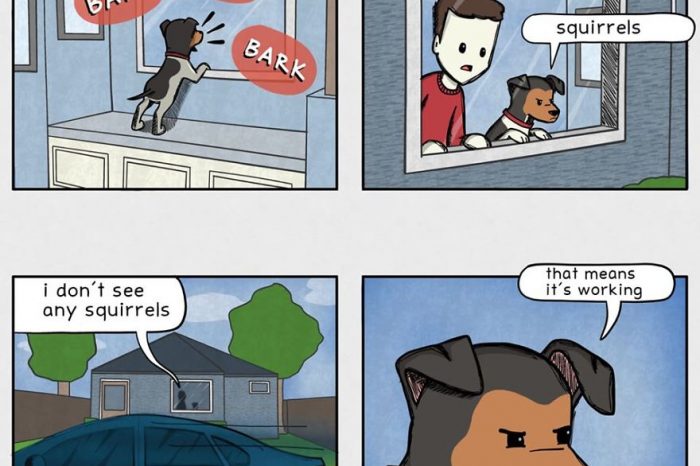 Adorable Comics That Show What Conversations With Your Dog Would Look Like
