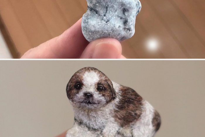 Japanese Artist Brings Stones To Life By Turning Them Into Animals That Fit In The Palm Of Your Hand (15 New Pics)