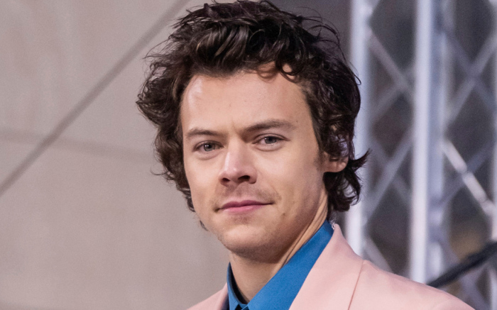 Harry Styles Reveals He's Been Keeping Himself Entertained By Learning Italian And Sign Language In Isolation Amid Coronavirus Pandemic