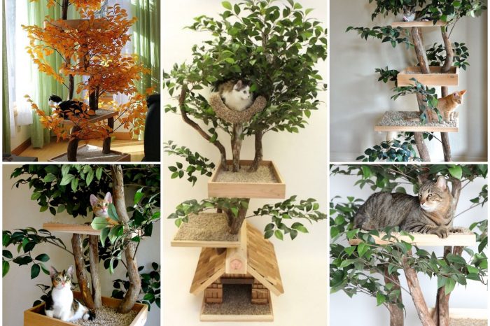 Cat Lovers Will Loose Their Minds When They See This Indoor Cat Towers That Look Like Real Trees