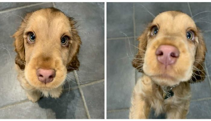Winnie has won the internet’s hearts with her gorgeous eyes