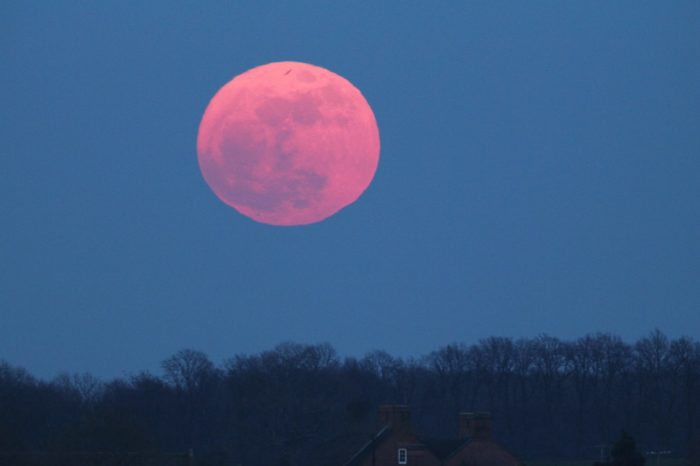 You Don't Want To Miss This: Tonight's Full Pink Super Moon Will Be the Biggest of 2020