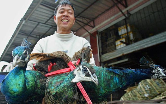 China Reveals List of Animals Which Can Be Farmed For Eating