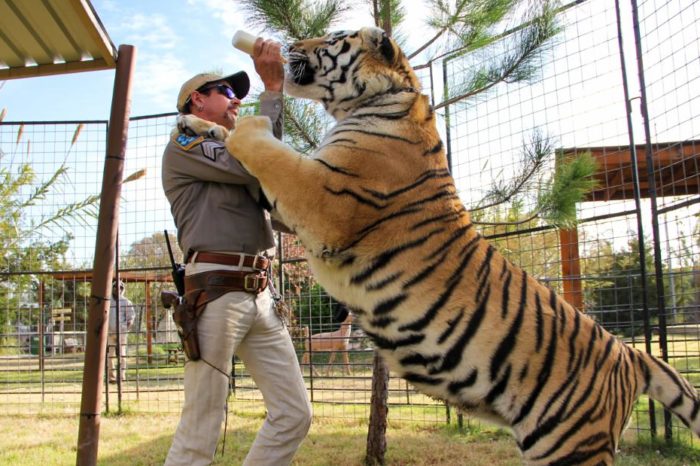 'It's Disturbing'  Not Everyone Loves Tiger King, Not Even While in Quarantine