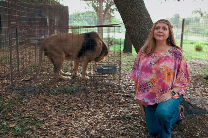'Tiger King': Carole And Howard Baskin Are Getting Death Threats And Afraid to Live in Their Home