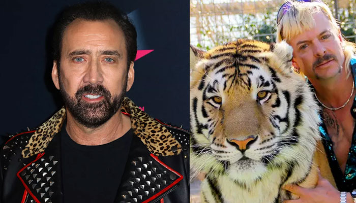 Nicolas Cage Is Going To Play Joe Exotic In The 'Tiger King' Series