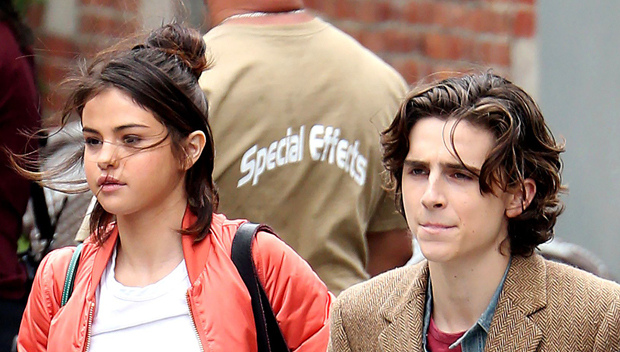 Are Selena Gomez And Timothee Chalamet Dating?