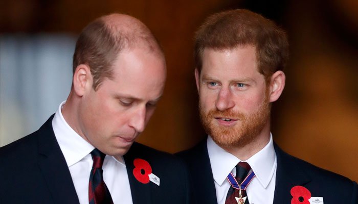 Prince William Admits He And Harry Are Now ‘Separate Entities’