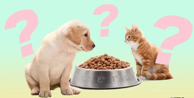 9 Ordinary Foods That Can Actually Harm Your Pet