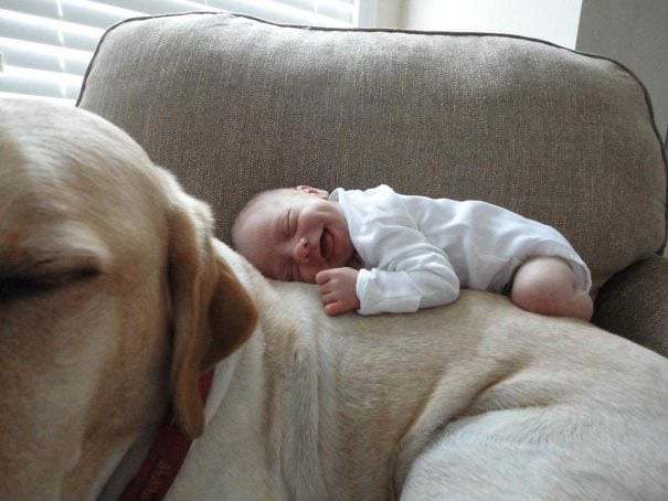 Adorable Pictures Showing Love Between Dogs And Kids