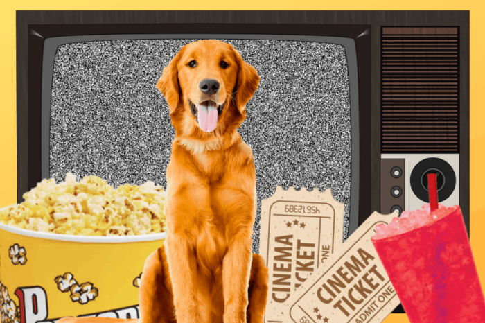 10 Amazing Movies About Golden Retrievers You HAVE To Watch!