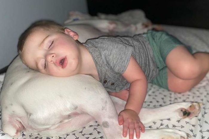 Watch How Little Boy Sneaks Out Of His Bed To Sleep With His Dog 