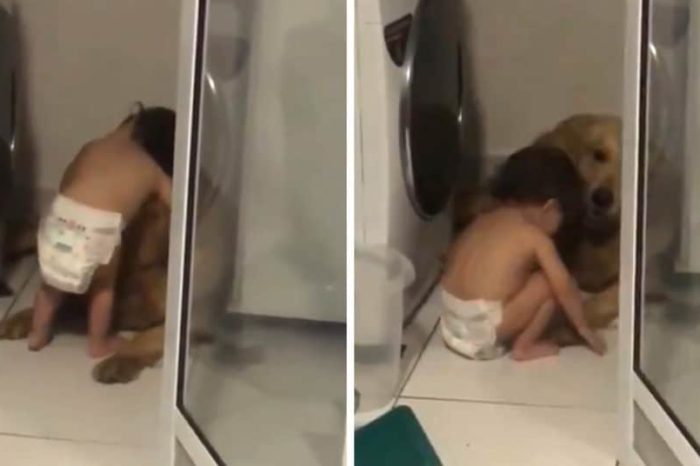 Watch This Adorable Toddler Comfort His Goldie During A Thunderstorm